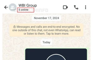 WhatsApp Online Counter feature